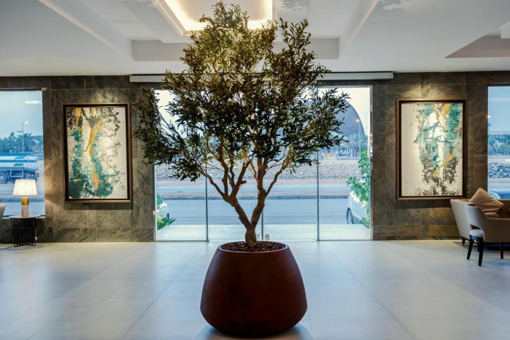 Viola Gardens Residence Riyadh Luaran gambar